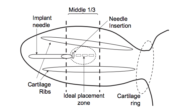 diagram of a cow's ear and proper placement of a hormone implant