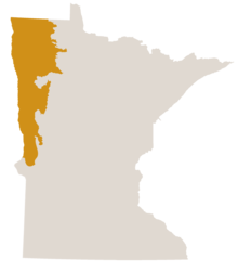 Map of Minnesota in gray with the north-western-most areafrom the North Dakota border, south to the middle of the state, colored gold.